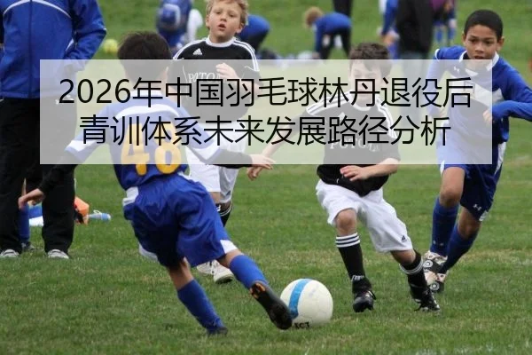 2026年中国羽毛球林丹退役后青训体系未来发展路径分析